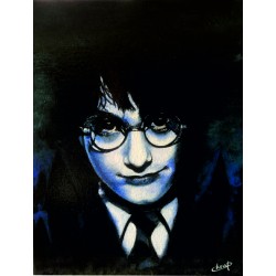 Harry Potter - Série HP 12