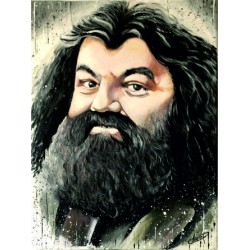 Rubeus Hagrid HP N°18